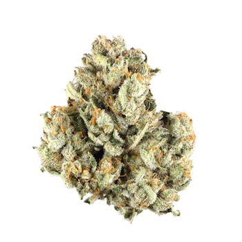 Green Thumb Flower - Truffle Queen